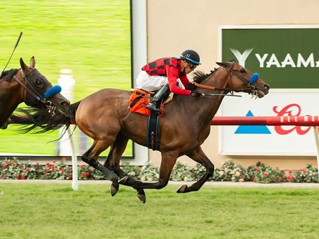 Du Jour and jockey Juan Hernandez win the 2023 Wickerr Stakes at Del Mar