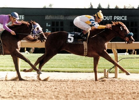 Truth of It All wins an allowance race in 1992 at Woodbine