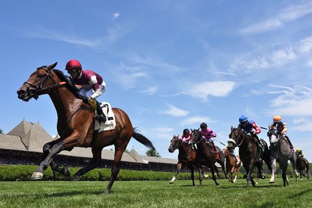 Without Caution leads them home in a maiden special weight test at Saratoga Race Course