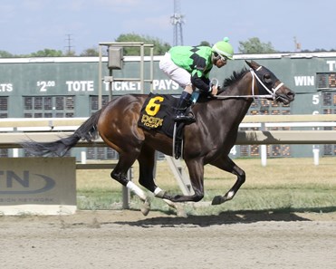 Takethemoneyhoney - Horse Profile - BloodHorse