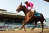 Jockey Patrick Husbands guides Paramount Prince to victory in the $175,000 Seagram Cup for owners Gary Barber and Michael Langlois and trainer Mark Casse. Woodbine/Michael Burns Photo