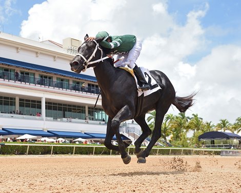 Rated by Merit, Win N Your In Favored in FL Sire Stakes