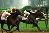 Holy Bull wins the 1994 Travers Stakes at Saratoga Race Course, Mike Smith up