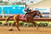 The Chosen Vron and jockey Hector Berrios win the Grade I, $400,000 Bing Crosby Stakes, Saturday, July 27, 2024 at Del Mar Thoroughbred Club, Del Mar CA.
&#169; BENOIT PHOTO