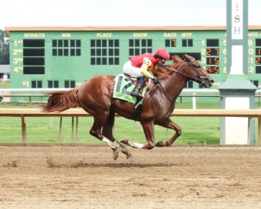 Brunacini - Horse Profile - BloodHorse