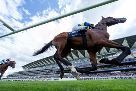 Goliath wins the 2024 King George VI and Queen Elizabeth Stakes at Ascot