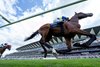 Goliath (Christophe Soumillon) wins the King George VI and Queen Elizabeth Stakes
Ascot 27.7.24 Pic: Edward Whitaker