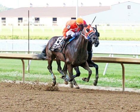 After Near Death as Foal, Demolisher Crowned in Indiana