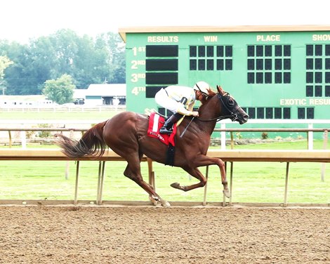 Delightful Flame Among 10 Added to Keeneland Sale