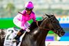 Midnight Mammoth and jockey Armando Ayuso win the G3, $100,000 Cougar II Stakes, Thursday, July 25, 2024 at Del Mar Thoroughbred Club, Del Mar CA.
&#169; BENOIT PHOTO