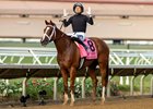 The Chosen Vron and jockey Hector Berrios win the Grade I, $400,000 Bing Crosby Stakes, Saturday, July 27, 2024 at Del Mar Thoroughbred Club, Del Mar CA.
&#169; BENOIT PHOTO