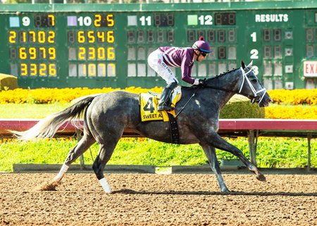 Sweet Azteca wins the Great Lady M Stakes  at Los Alamitos Race Course
