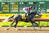 Sweet Azteca wins the 2024 Great Lady M. Stakes at Los Alamitos Race Course 