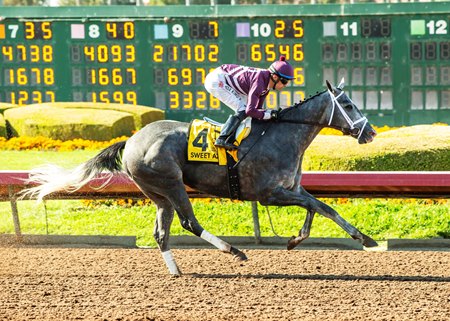 Sweet Azteca easily captures the Great Lady M Stakes at Los Alamitos Race Course