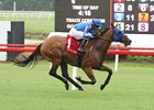 Determined Kingdom wins 2024 Punch Line Stakes at Colonial Downs