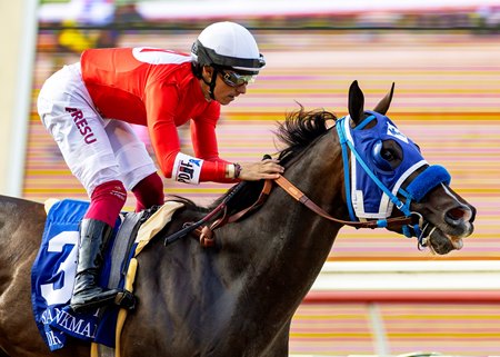 Dr. Venkman wins the 2024 San Diego Handicap at Del Mar