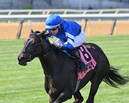 Cinderella's Dream wins the 2024 Belmont Oaks Invitational Stakes at Aqueduct Racetrack