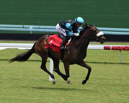 Bellavinino breaks her maiden at Gulfstream Park