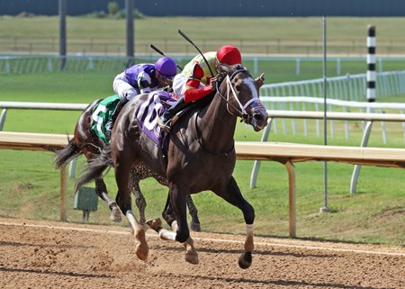 Secret Faith wins the Texas Thoroughbred Association Futurity at Lone Star Park