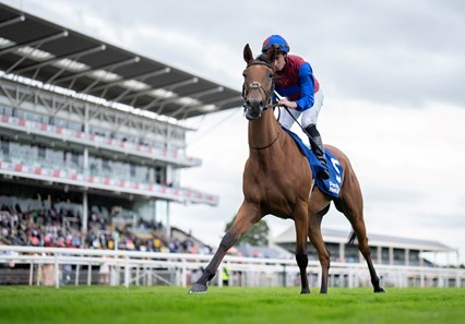 Content (Ryan Moore) go to post for the Yorkshire Oaks
York 22.8.24 Pic: Edward Whitaker