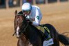 Mullikin and Flavien Prat win the G1 Forego, Saratoga Race Course, Saratoga Springs, NY 8-24-24, Mathea Kelley