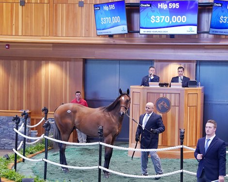 Fasig-Tipton NY-Bred Sale records increases in average and median