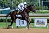 Mullikin with Flavien Prat wins the Forego (G1) at Saratoga Race Course in Saratoga Springs, N.Y., on Aug. 24, 2024.