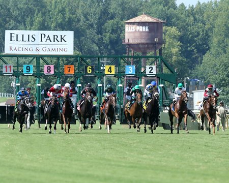 Horses break from the starting gate with the historic water tower in the distance at Ellis Park