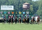 Walkathon wins the 2024 KY Downs Preview Ladies Turf Mile Stakes at Ellis Park