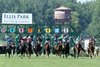 Walkathon wins the 2024 KY Downs Preview Ladies Turf Mile Stakes at Ellis Park