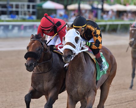 Naughty Rascal wins the 2024 Proud Man Stakes at Gulfstream Park