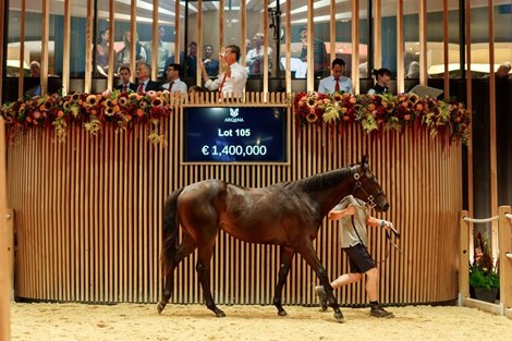 Resolute buys prime site at Arqana Day 1