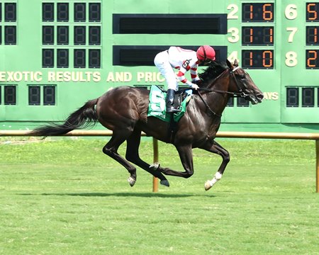 Giocoso breaks his maiden at Ellis Park