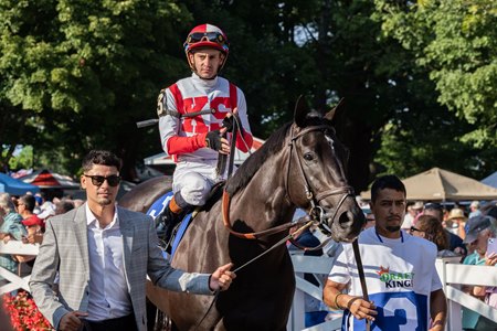 Domestic Product leaves the paddock before winning the H. Allen Jerkens Memorial Stakes at Saratoga Race Course