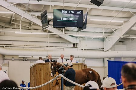 2024 Texas Summer Yearling Sale