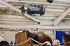 2024 Texas Summer Yearling Sale, Hip 176