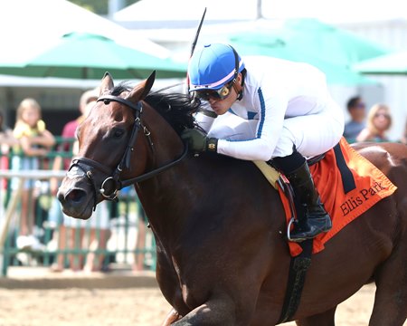 Owen Almighty wins the Ellis Park Juvenile Stakes at Ellis Park