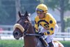 Far Bridge with jockey Joel Rosario returns to the winner’s circle after winning the 50th running of the Resorts World Casino Sword Dancer at the Saratoga Race Course Saturday Aug 24, 2024 in Saratoga Springs, N.Y.  Photo Special to the Times Union by Skip Dickstein