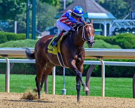 Accelerating wins the Seeking the Ante at Saratoga Race Course