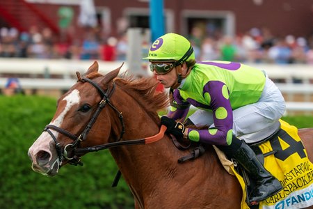 Morning-line favorite Carl Spackler enters off a victory in the Fourstardave Handicap at Saratoga