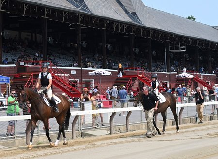 Horses on the track during the 2024 New York Thoroughbred Aftercare Day at Saratoga Race Course