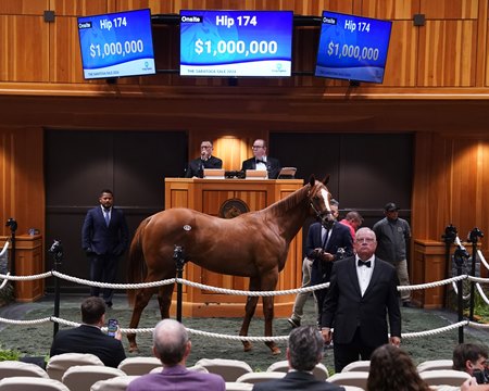 The Justify colt consigned as Hip 174  in the ring at the F-T Saratoga Sale