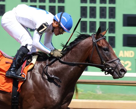 Owen Almighty wins the 2024 Ellis Park Juvenile Stakes at Ellis Park