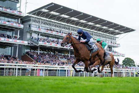 City of Troy wins the Juddmonte International Stakes at York Racecourse