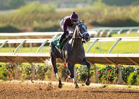 Sweet Azteca continues the Blue Hen legacy of Cee’s Song