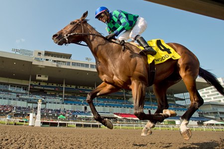 Scorching wins the 2024 Simcoe Stakes at Woodbine