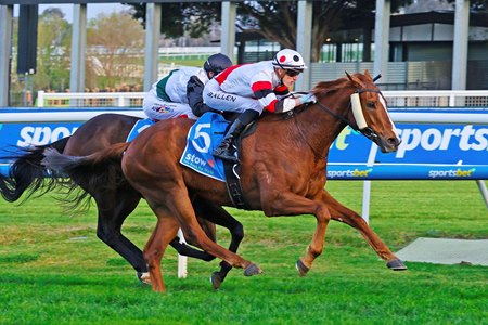 Pinstriped wins the Memsie Stakes at Caulfield Racecourse