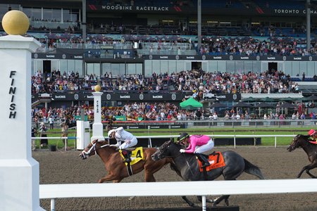 Caitlinhergrtness wins the 2024 King's Plate at Woodbine