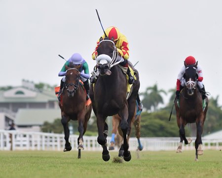 Grand Mo the First wins the Bear's Den Stakes at Gulfstream Park