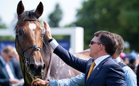 Aidan O'Brien pats Jan Brueghel after the colt's victory in the Gordon Stakes at Goodwood